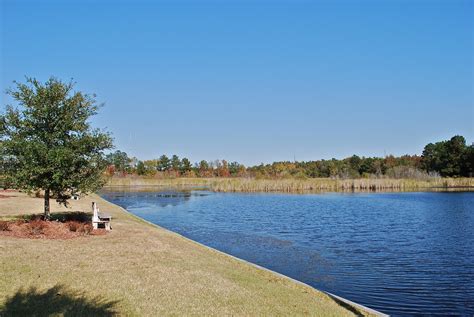 BLUE SKY AHEAD: Coastal Georgia RV Resort