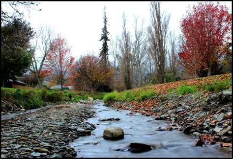 Autumn Historical Isel Park Stoke Nelson Nz Beautiful Landscapes