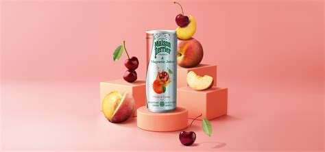 Boissons P Tillantes Aux Fruits Maison Perrier Magnetic Juice