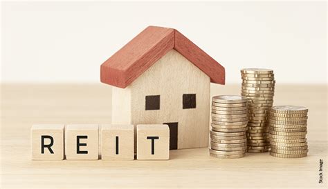 Diving Into Real Estate Investment Trusts Reits In Kenya A Guide To Getting Started By