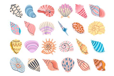 Tropical seashell. Cartoon clam, oyster and scallop shells. Colorful u By Tartila | TheHungryJPEG