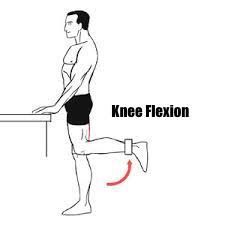 Knee Flexion – Squat University