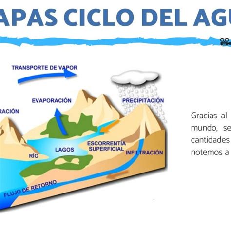 Vector El Esquema Del Ciclo Del Agua En Naturaleza Off