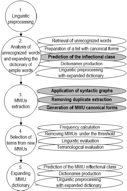 Diagram Of Terminology Acquisition Using Lexical Resources And Local