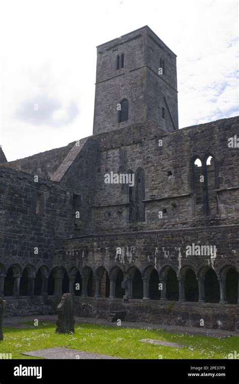 The ruins of Sligo Abbey EIRE Stock Photo - Alamy