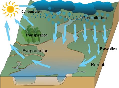 Eto Reference Crop Evapotranspiration Explained Implexx Sense