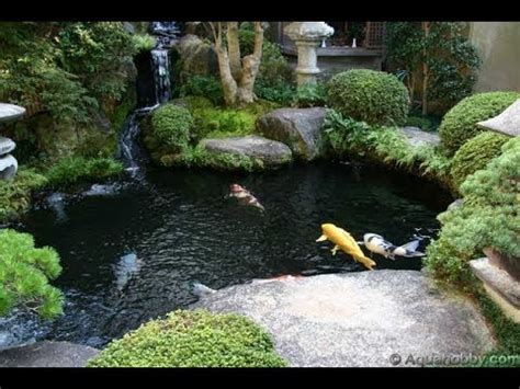 Garden Pond Ideas Youtube - 12 Best Easy Diy Pond Ideas For Garden ...