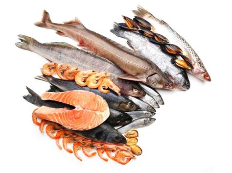 Premium Photo Fresh Catch Of Fish And Other Seafood Isolated On White