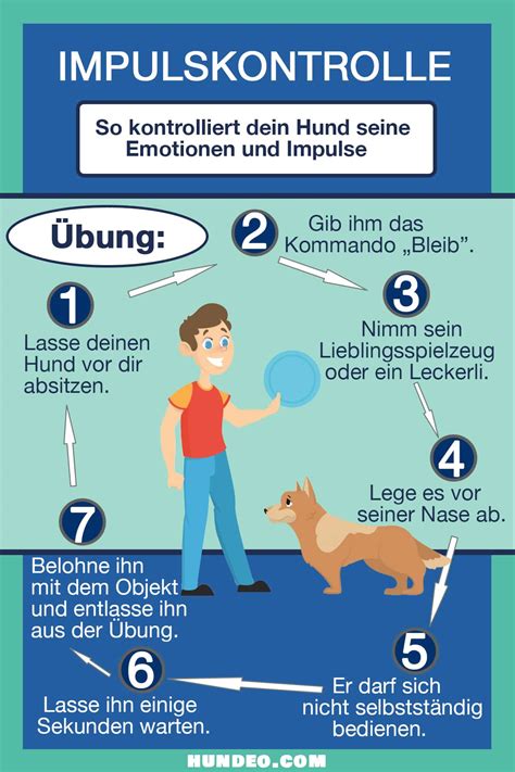 Impulskontrolle beim Hund Tipps für mehr Selbstbeherrschung