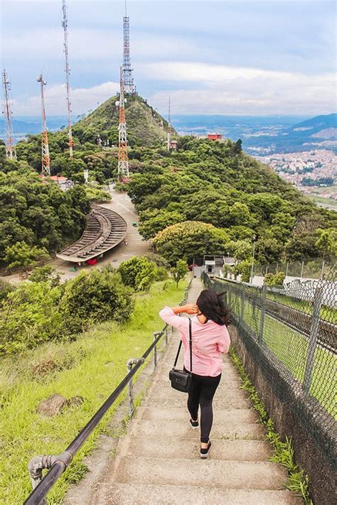 A Woman Is Walking Up Some Stairs To The Top Of A Hill With Trees And