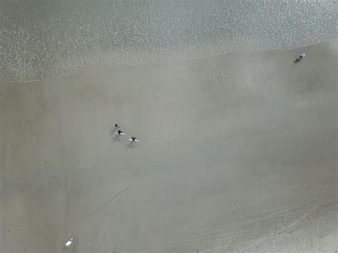 Maili Holt Leaked Nude Exclusive Image & Clip Library January 2026 Profile | TSOT Dormitory