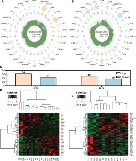 Frontiers Label Free Lc Ms Ms Proteomics Analyses Reveal Clic As A