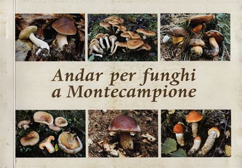 Mercoledì a Montecampione parliamo di funghi E ufficiale il libro