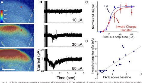 Figure From Rapid And Sensitive Mapping Of Long Range Connections In