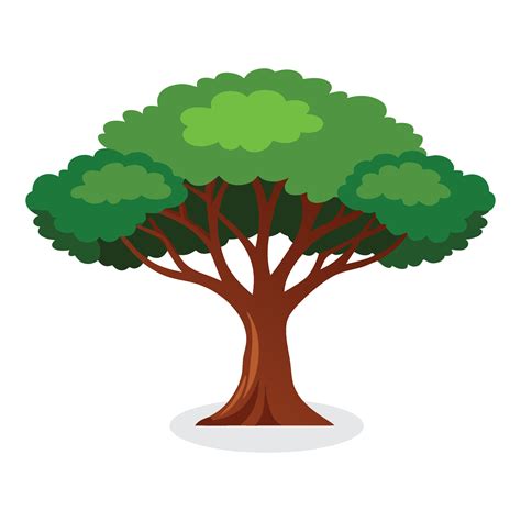 Mahogany Tree Flat Illustration On White Background 49114706 Vector Art