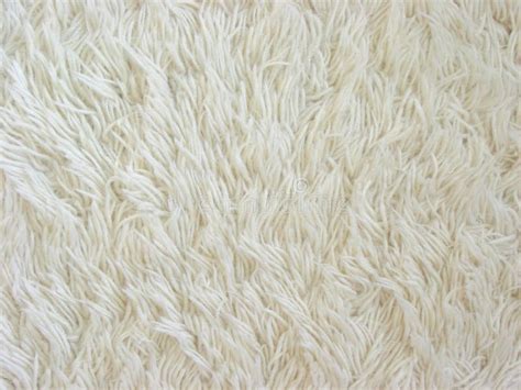 170+ White carpet texture Free Stock Photos - StockFreeImages