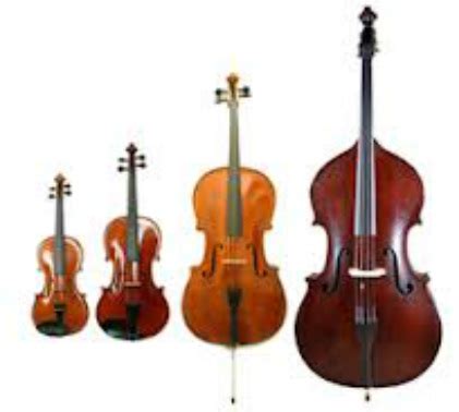 Violin, Viola, Cello, And Bass! What Is The Difference?, 48% OFF