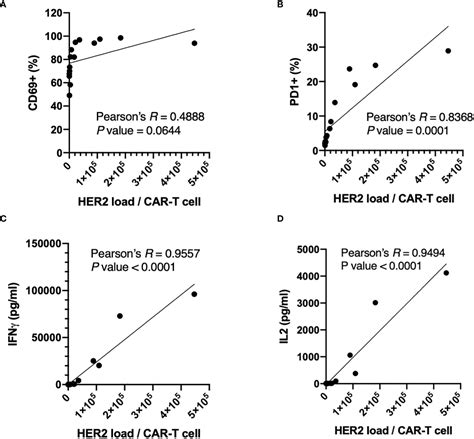 Frontiers Standardized In Vitro Evaluation Of Car T Cells Using