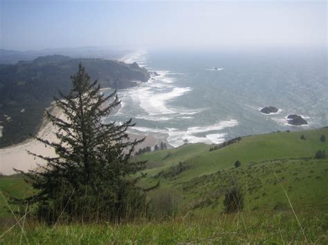 Top Trails for Easy Day Hikes on the Oregon Coast