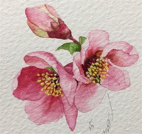 Pin By Kay Waldron On Painting Watercolor Watercolor Flower Art