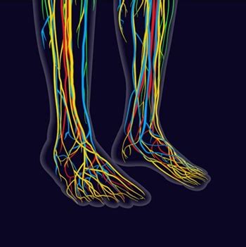 Reflexology for pain relief Nottingham | Pathfinder Holistics