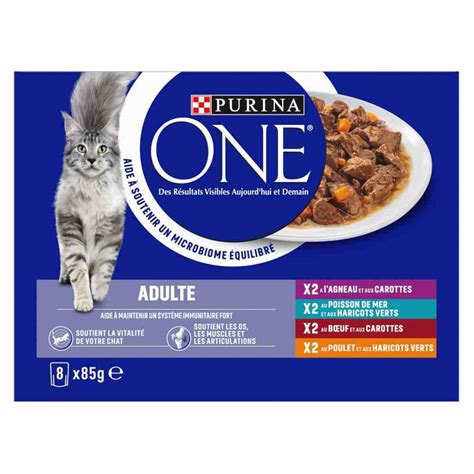Purina ONE ADULT 8 x 85 g | zoohit.sk