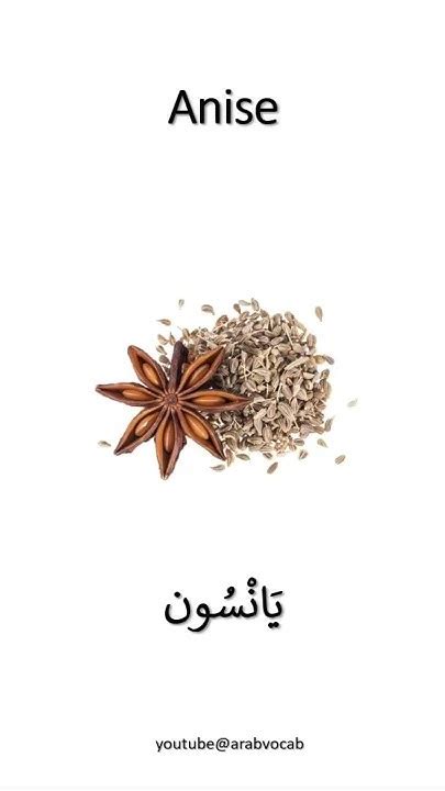 Food And Spices Vocabulary In Arabic How To Say Cinnamon Anise And