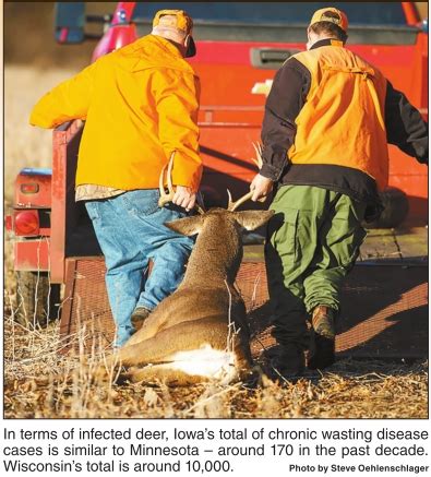 Iowa Seeking Ways To Combat CWD Outdoor News