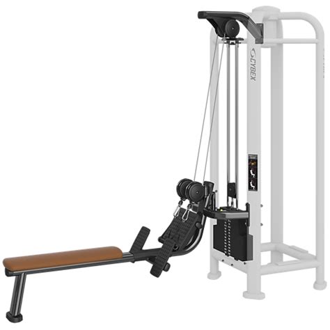 Pwr Play Pwr Station Adjustable Dual Handle Low Row Cybex