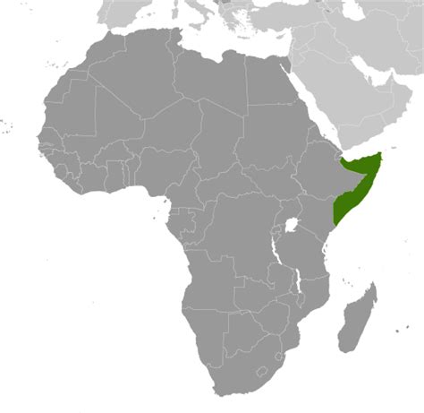 Somalia Map Physical Worldometer