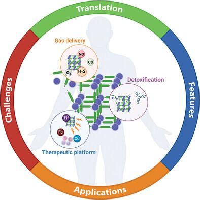 生物医用金属有机框架材料前景与挑战 Advanced Functional Materials X MOL