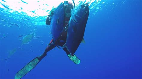 Hawaii Spearfishing Oahu 8th Dive Video 2022 Youtube