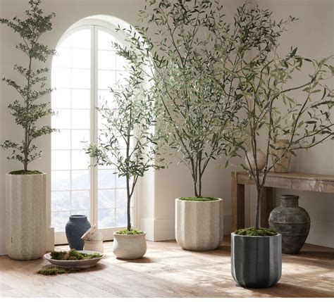 10 Best Faux Olive Trees At Every Budget For 2023 Happily Inspired