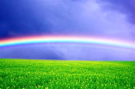 Rainbow over field Stock Photo by ©fotoall 50375407