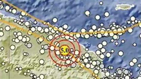 Gempa Magnitudo 50 Guncang Wilayah Papua Selasa Sore Bmkg Guncangan