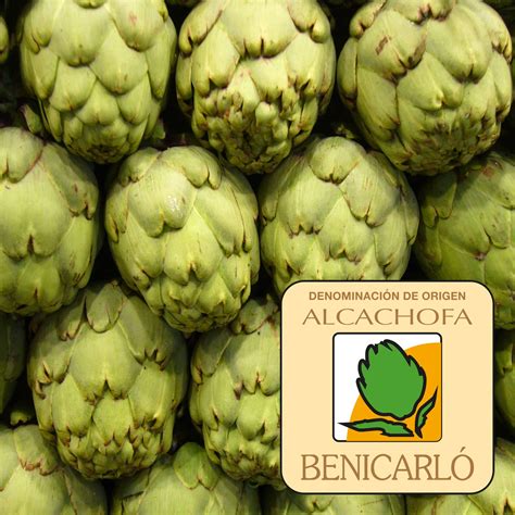 Alcachofa De Benicarl Con Denominaci N De Origen Tienda Online H