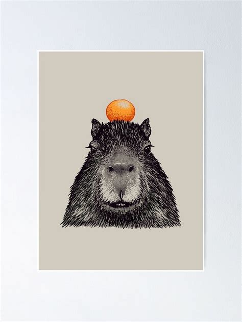 Capybara Orange | Capy Yuzu | Capybara with Orange on Head | His Name ...