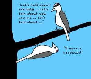 Doodle By Andre Horny Birds A Way To Garden