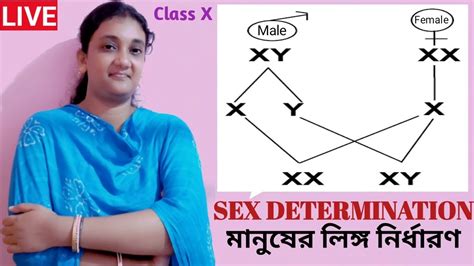 Class 10 Sex Determination In Human In Bangla Online Class 10 Life