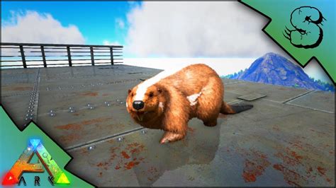 Interactive Raising A Beaver Ultimate Imprinted Beaver Ark