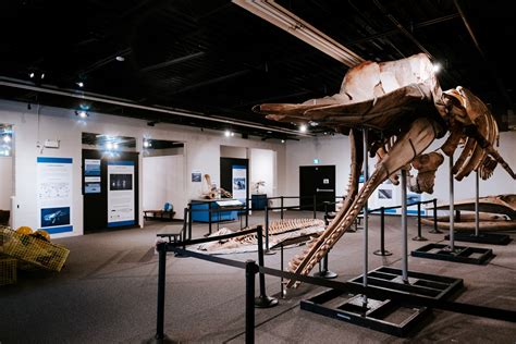 Doors Open Ontario Quinte Museum Of Natural History