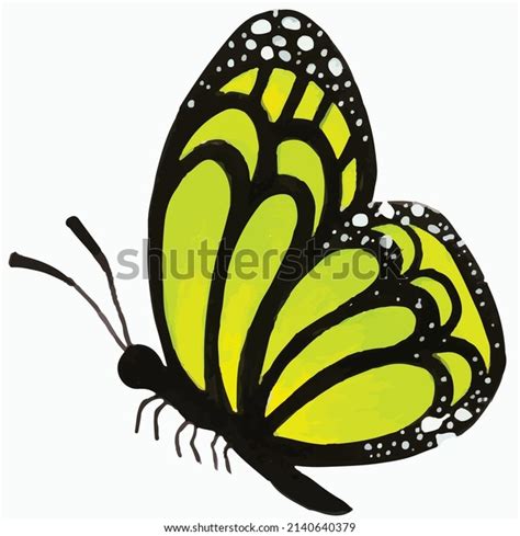 Butterfly Green Wings Watercolor Drawing Stock Vector (Royalty Free ...