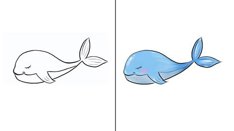 كيفية رسم حوت كيوت خطوة بخطوة Cute Whale Drawing رسم للاطفال تعليم