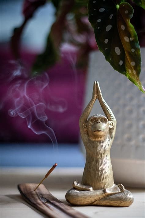 Yoga Monkey Incense - Free photo on Pixabay - Pixabay