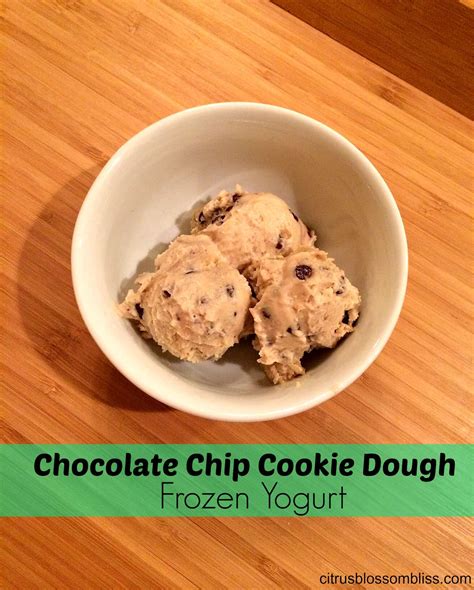 Chocolate Chip Cookie Dough Frozen Yogurt – Citrus & Delicious