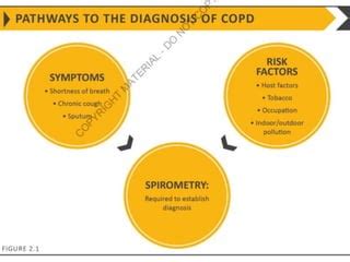 COPD GOLD Guidelines REPORT 2021 PPT