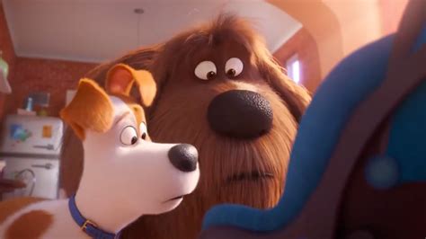 The Secret Life Of Pets 2 Meet The Famous Voice Actors