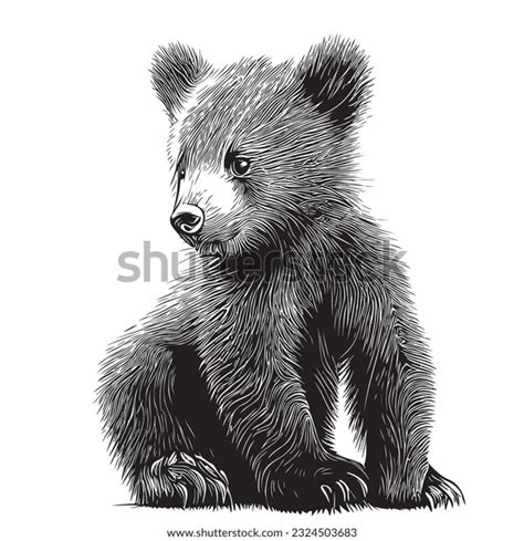 1,975 Bear Cub Sketch Royalty-Free Images, Stock Photos & Pictures ...