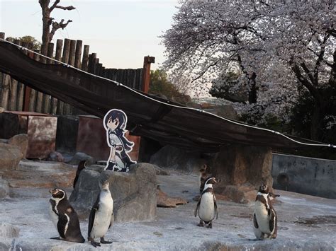 東武動物公園【公式】リュウくん On Twitter 東武ジャパリパークへシュッパツシンコウ！ 本日より『けものフレンズ』との新たなコラボ