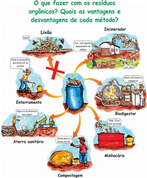 Compreendendo A Compostagem Em Suas Dimens Es Dom Stica